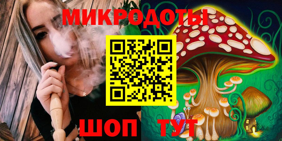 Псилоцибиновые грибы GOLDEN TEACHER Курчалой